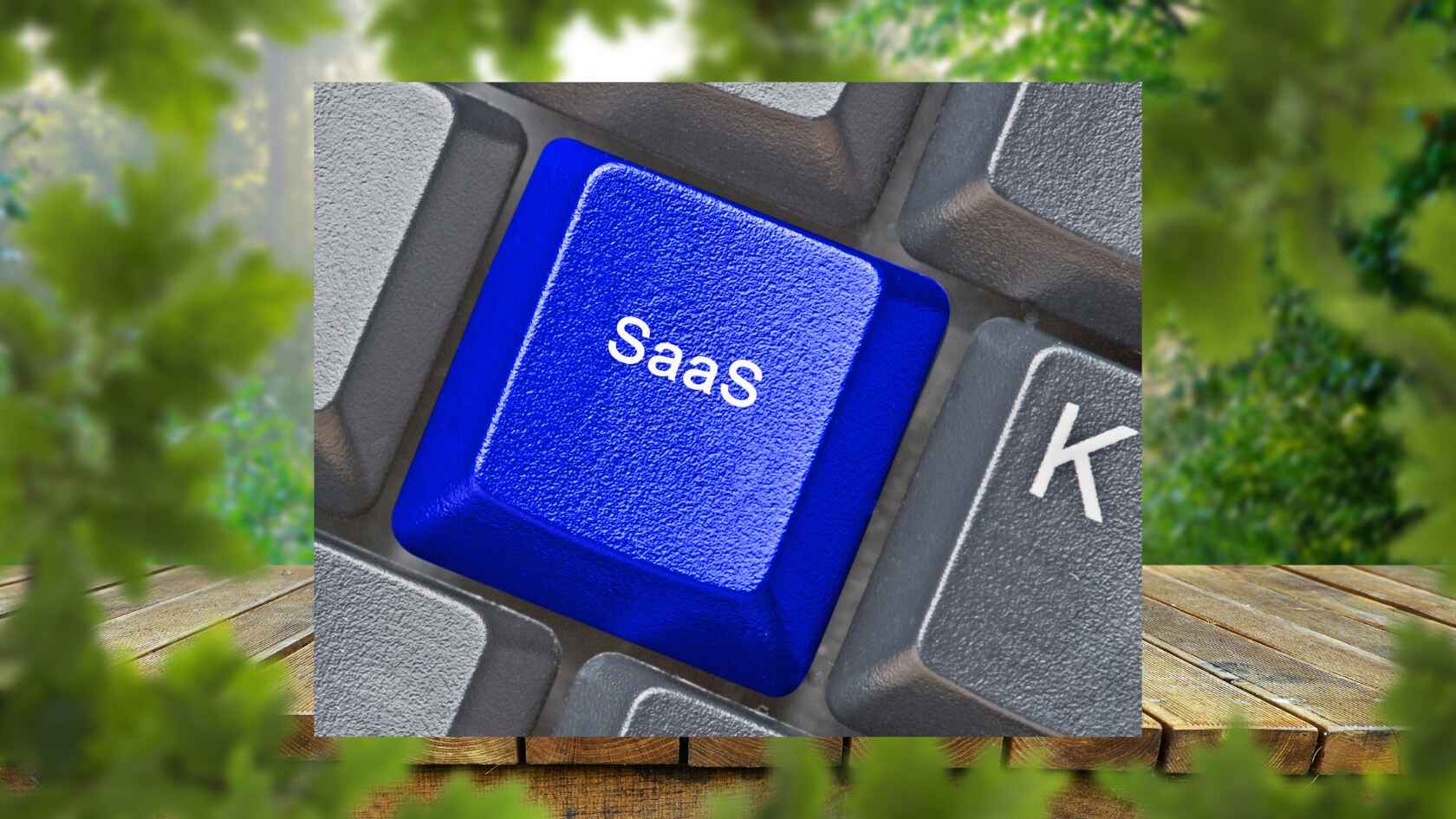 SaaS vs Services – A Comparative Analysis for Businesses, Founders and Startups Featured Image